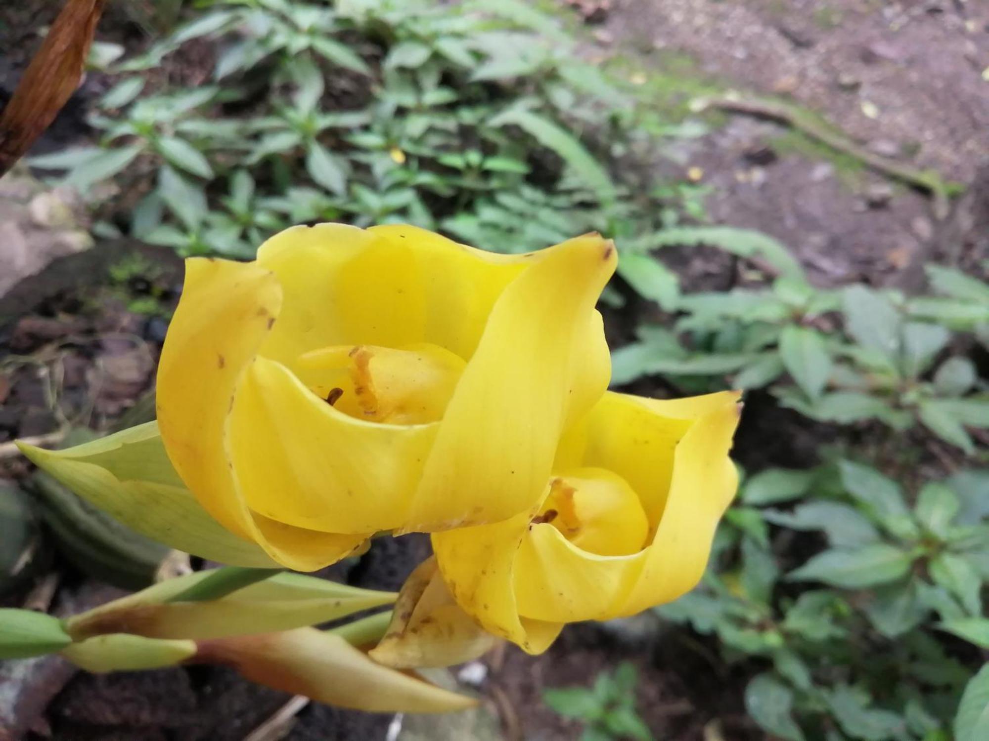 Willa Refugio De Orquideas Oxapampa Zewnętrze zdjęcie
