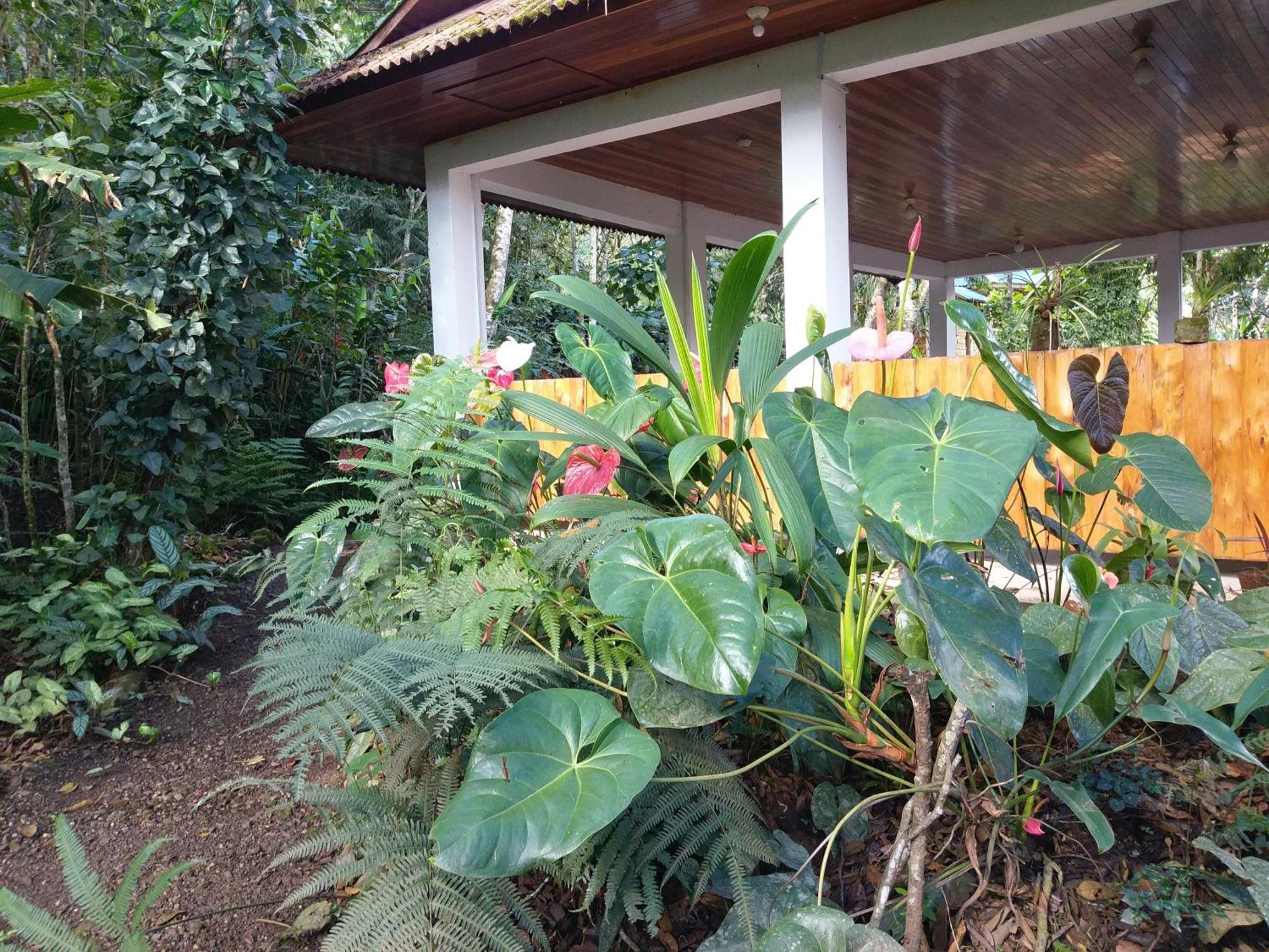 Willa Refugio De Orquideas Oxapampa Zewnętrze zdjęcie