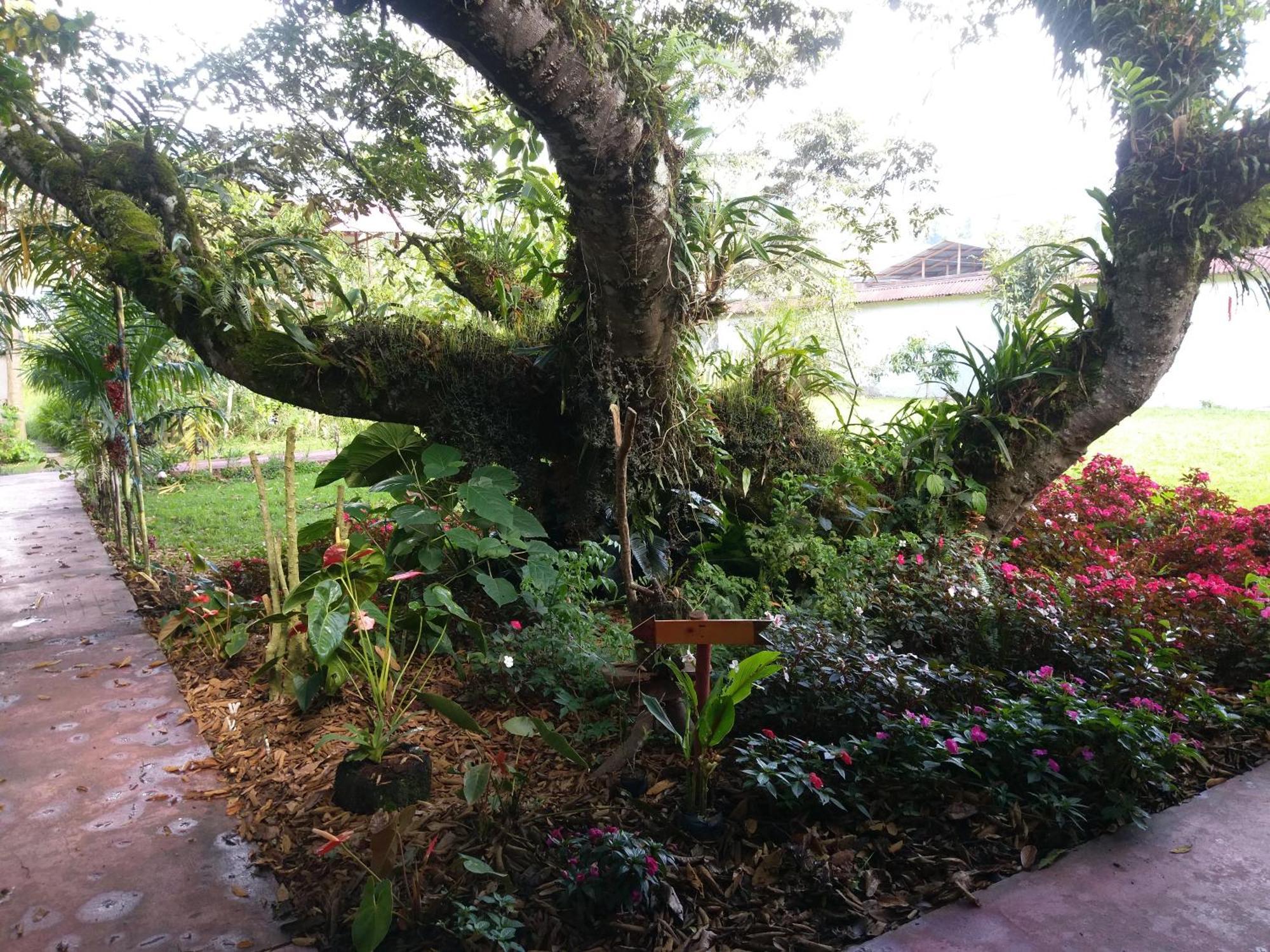 Willa Refugio De Orquideas Oxapampa Zewnętrze zdjęcie
