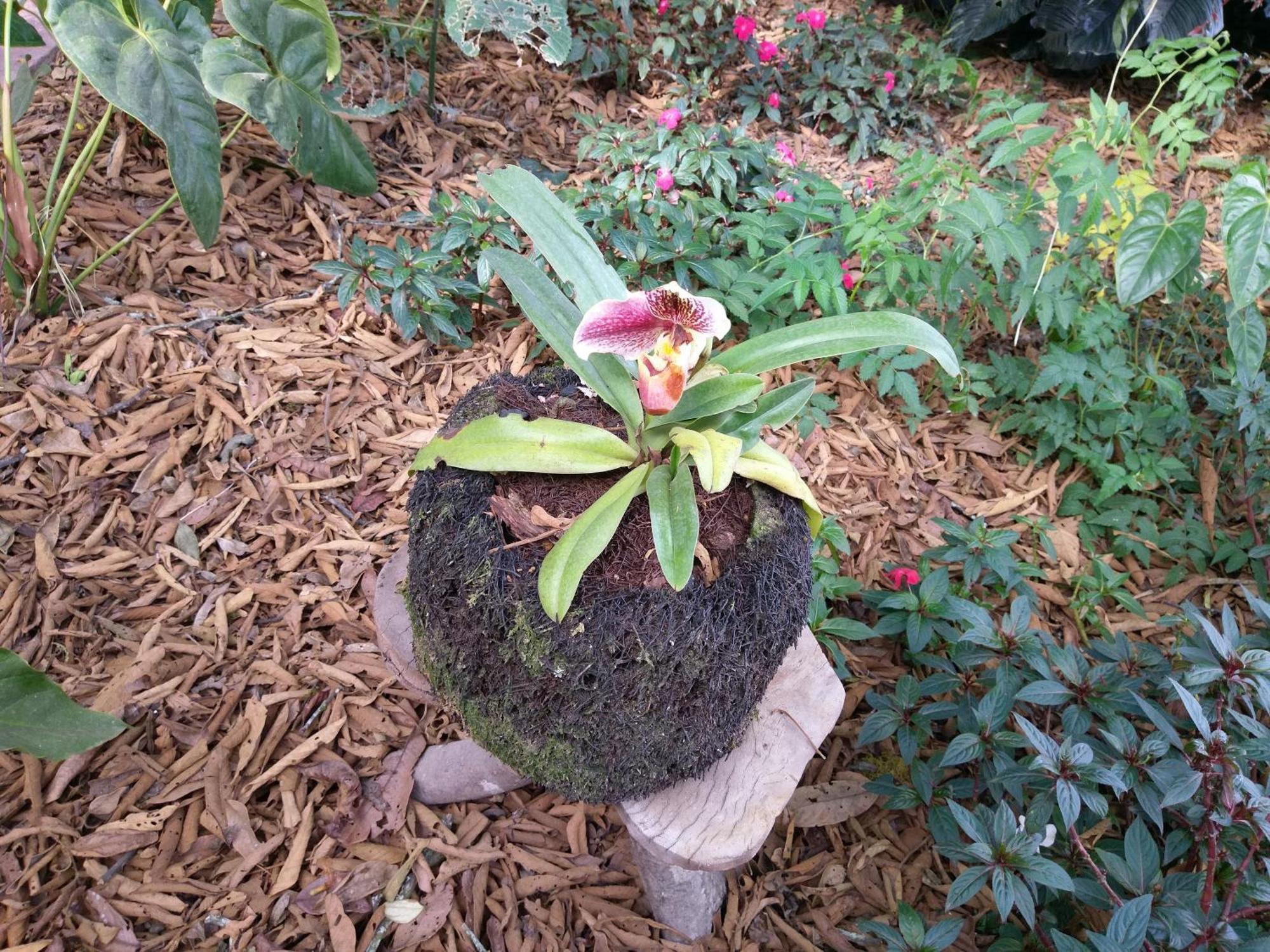 Willa Refugio De Orquideas Oxapampa Zewnętrze zdjęcie