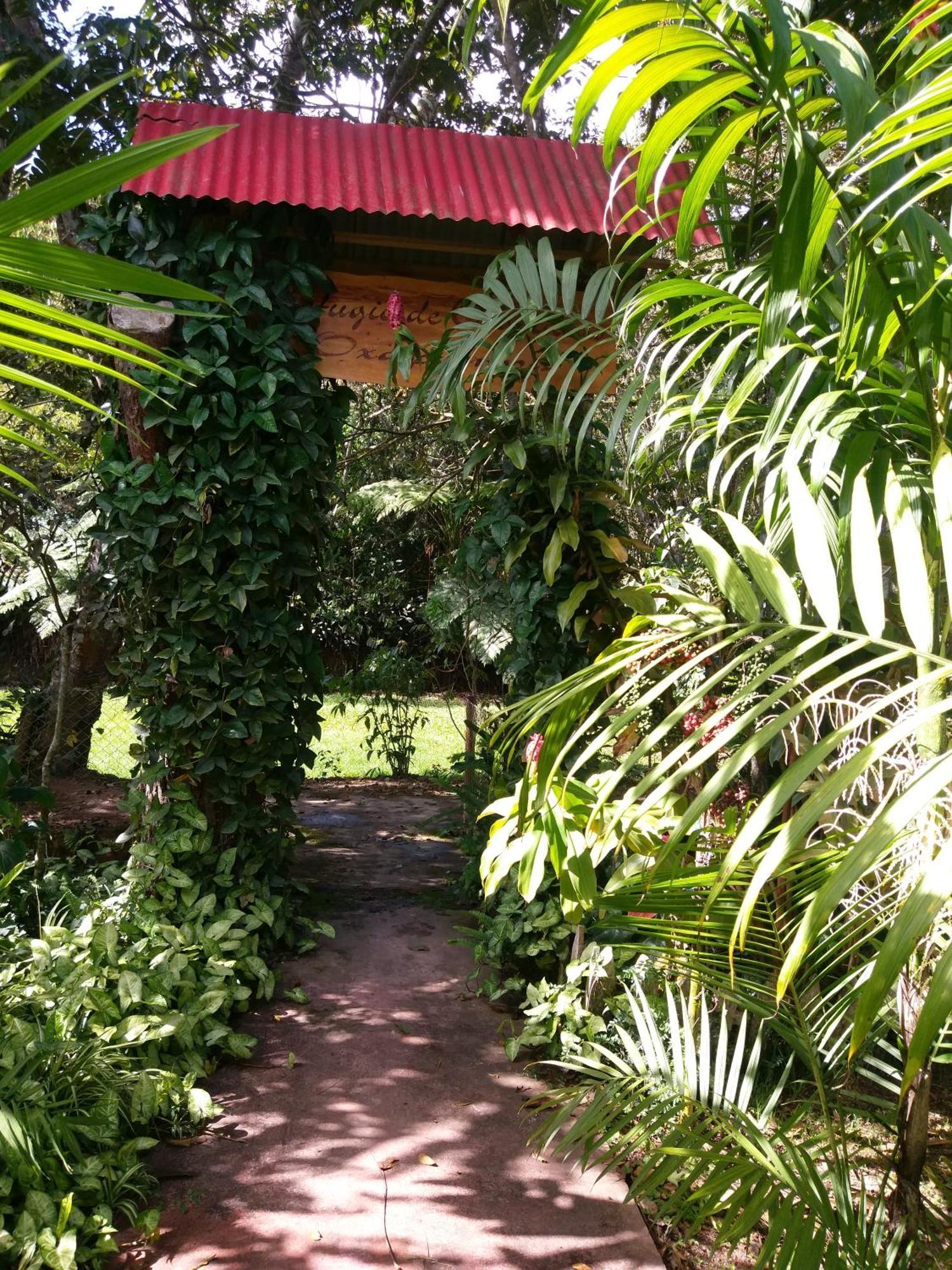 Willa Refugio De Orquideas Oxapampa Zewnętrze zdjęcie