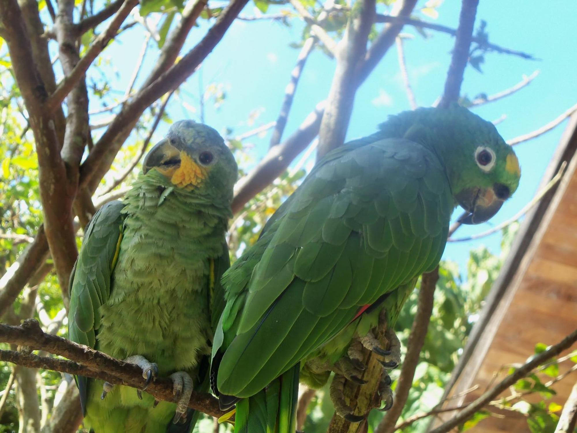 Willa Refugio De Orquideas Oxapampa Zewnętrze zdjęcie