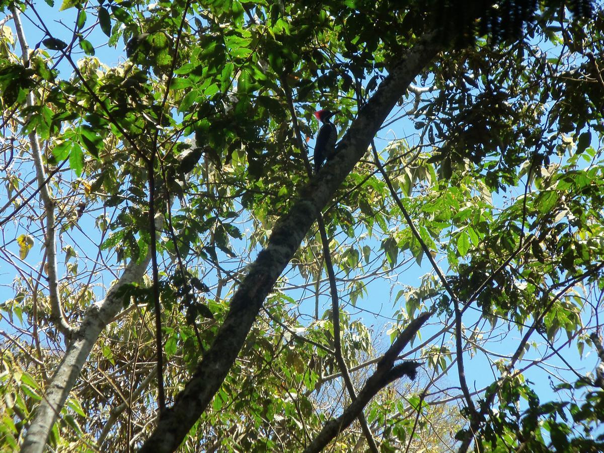 Willa Refugio De Orquideas Oxapampa Zewnętrze zdjęcie