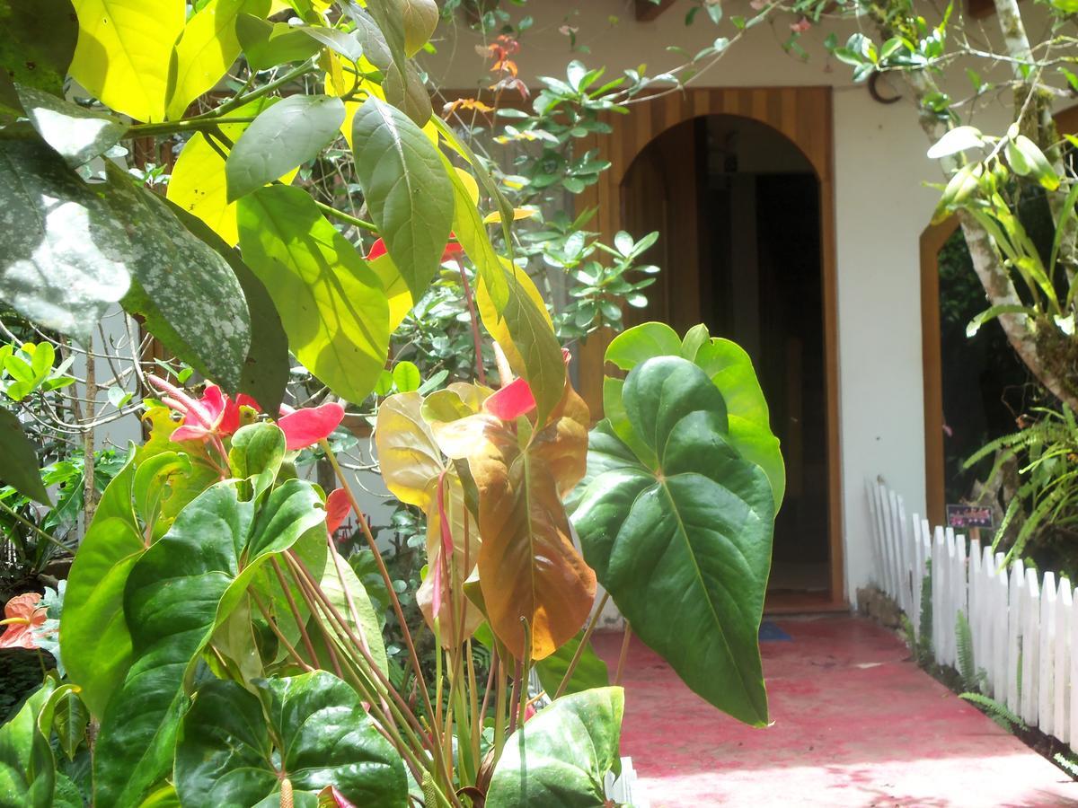 Willa Refugio De Orquideas Oxapampa Zewnętrze zdjęcie